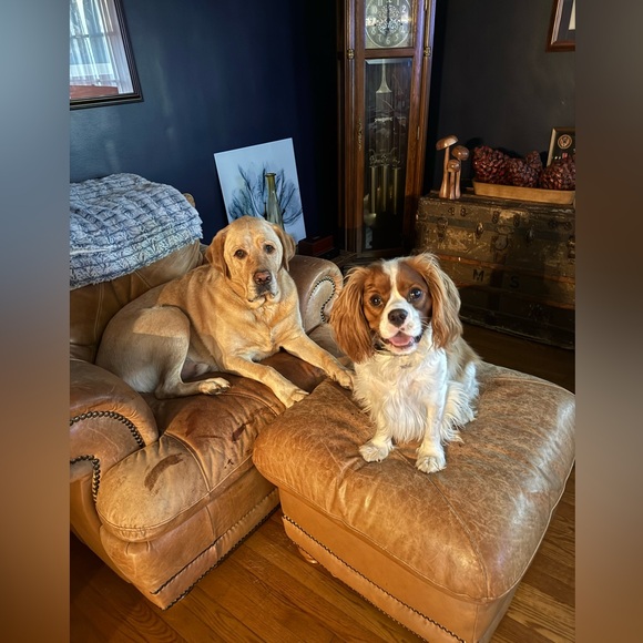 Meet your Posher, Cindy - Picture 2 of 2